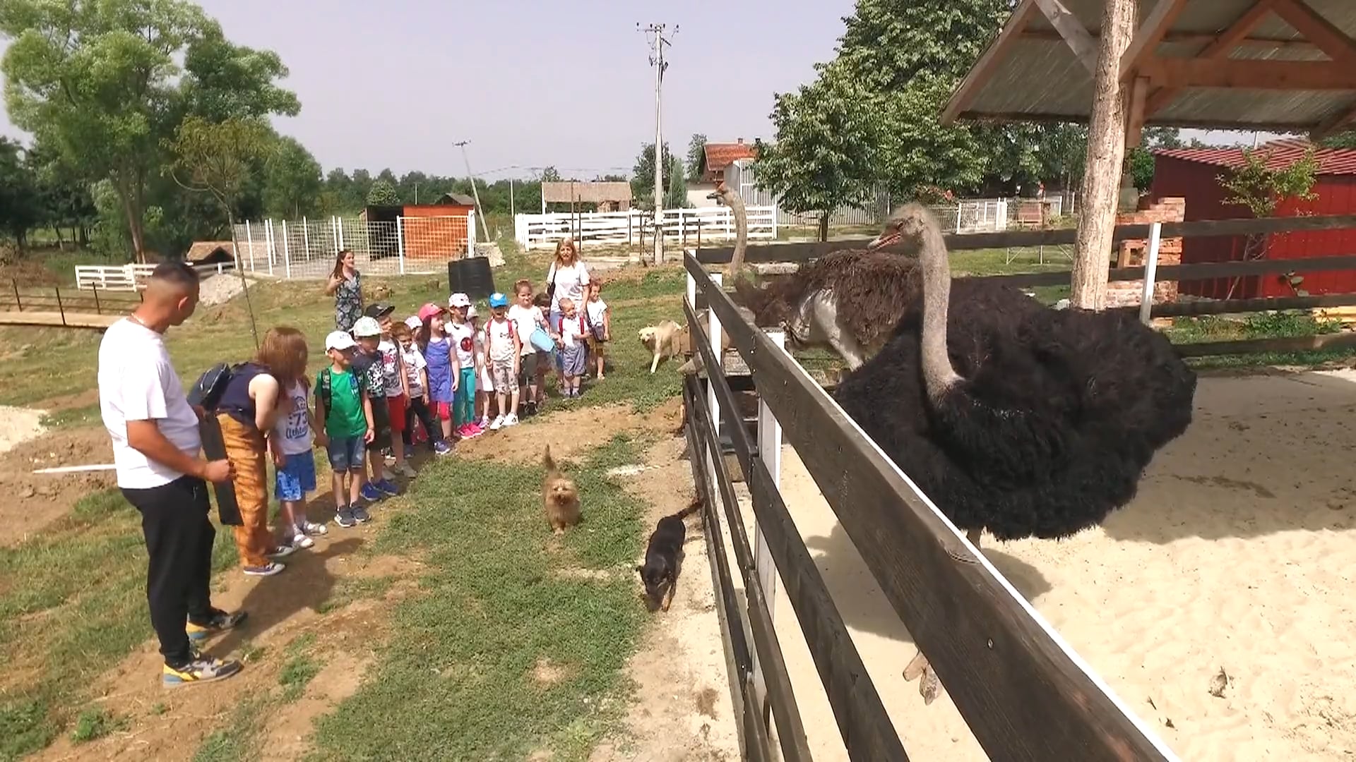 Mališani PU "Kaja" iz Ljiga u posetili mini zoo vrt u Takovu RTV City UB